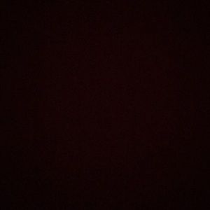 Meet your Posher, Cesar